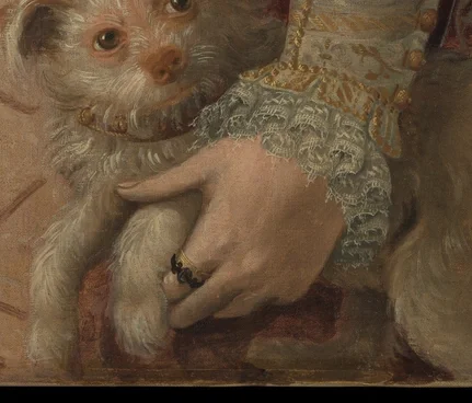 犬を抱える右手