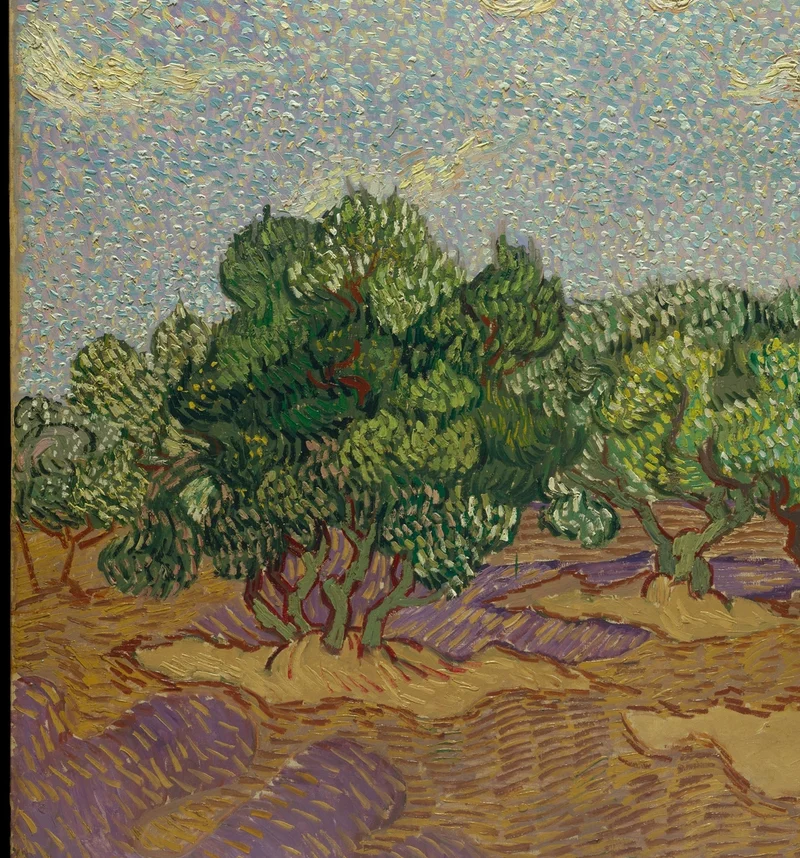 左側の大きなオリーブの木