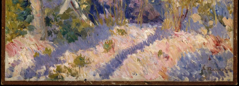 木漏れ日の差す地面