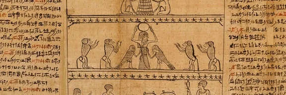 太陽を崇めるヒヒたち