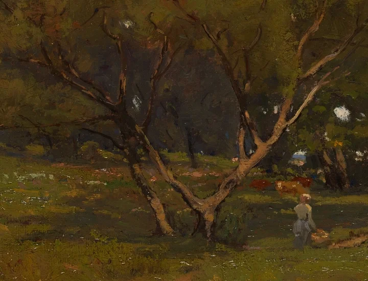 樹木の複雑な枝ぶり