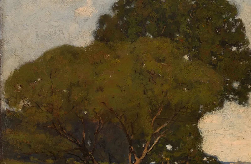 光が当たる明るい緑の葉群